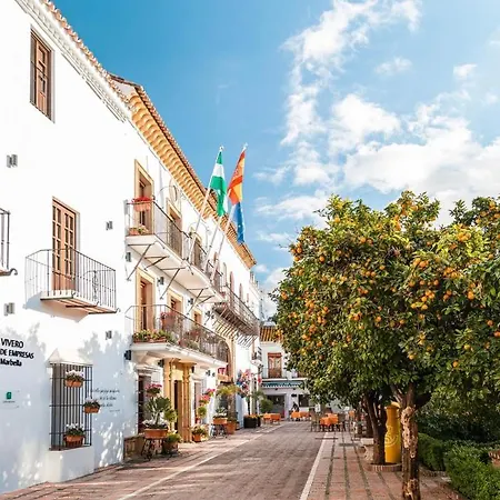 Plaza De Naranjos Centro
